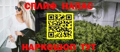 сатива Заводоуковск