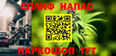 сатива Заводоуковск